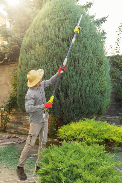 Landscape Design and Installation in Castle Pines Village, CO